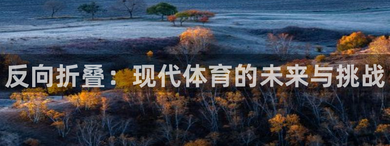 熊猫体育网站：反向折叠：现代体育的未来与挑战