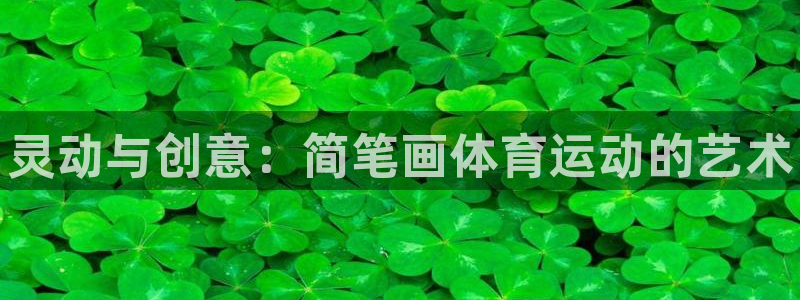 熊猫体育怎么样：灵动与创意：简笔画体育运动的艺术