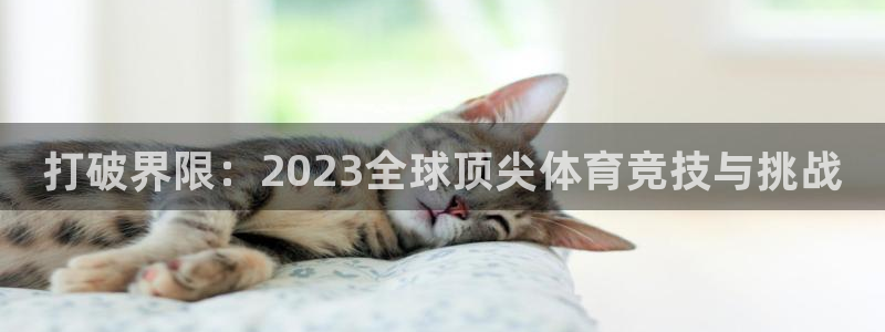 中山熊猫体育：打破界限：2023全球顶尖体育竞技与挑战