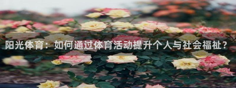 熊猫体育app官网入口：阳光体育：如何通过体育活动提升个人与社会福祉？