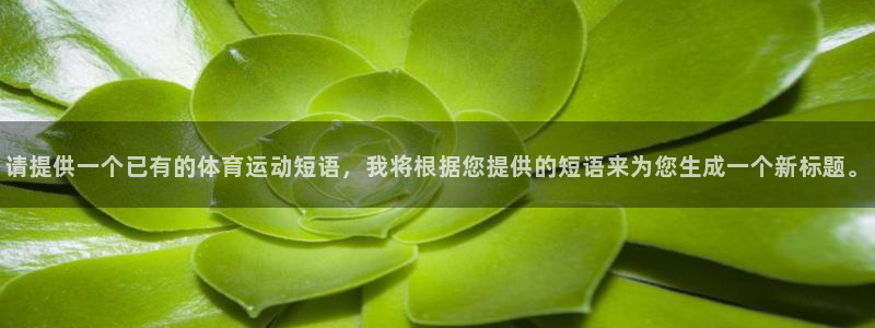 熊猫体育公园：请提供一个已有的体育运动短语，我将根据您提供的短语来为您生成一个新标题。