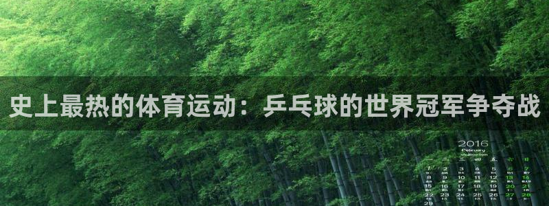 成都金熊猫体育：史上最热的体育运动：乒乓球的世界冠军争夺战