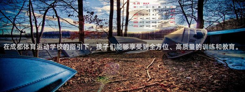 熊猫体育直播nba：在成都体育运动学校的指引下，孩子们能够享受到全方位、高质量的训练和教育。