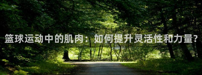 熊猫体育公园价格：篮球运动中的肌肉：如何提升灵活性和力量?
