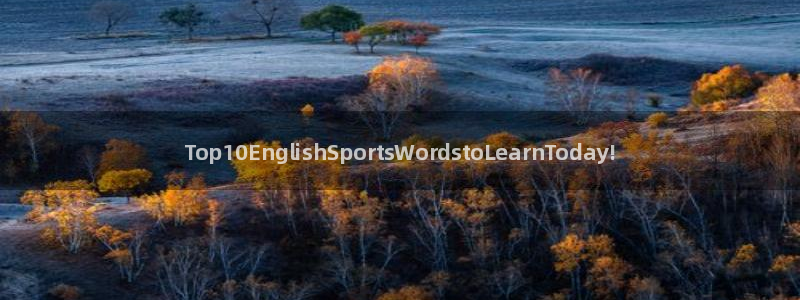 熊猫体育手机版：Top10EnglishSportsWordstoLearnToday!