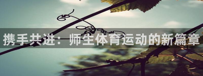 熊猫体育网址：携手共进：师生体育运动的新篇章