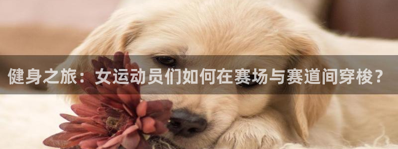 熊猫体育官网首页入口：健身之旅：女运动员们如何在赛场与赛道间穿梭？