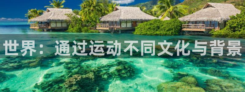熊猫体育v3.新网页.org：世界：通过运动不同文化与背景