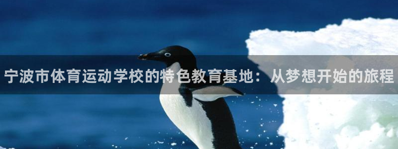 熊猫体育app官方下载最新版：宁波市体育运动学校的特色教育基地：从梦想开始的旅程