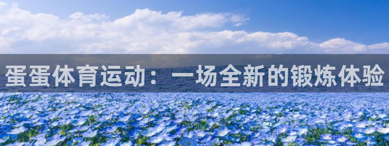 熊猫体育直播：蛋蛋体育运动：一场全新的锻炼体验