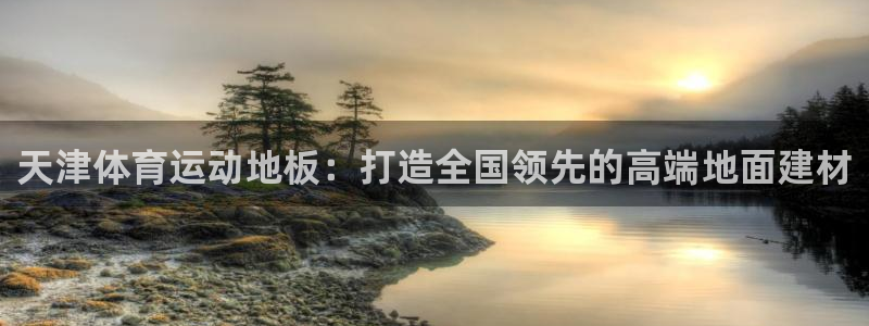 熊猫体育手机版下载：天津体育运动地板：打造全国领先的高端地面建材