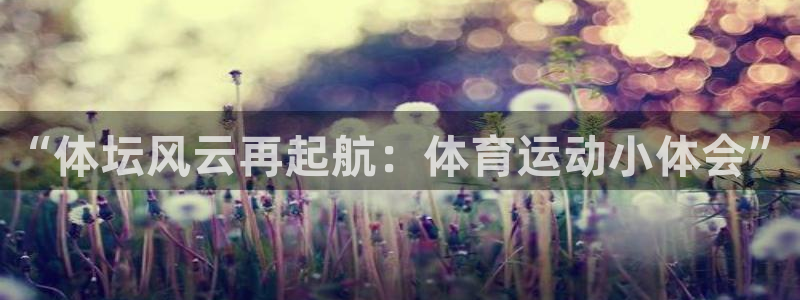 熊猫体育app官网入口：“体坛风云再起航：体育运动小体会”