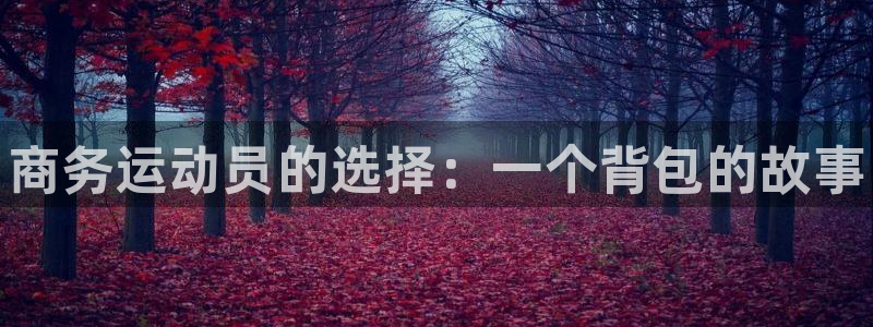 熊猫体育app官方入口：商务运动员的选择：一个背包的故事