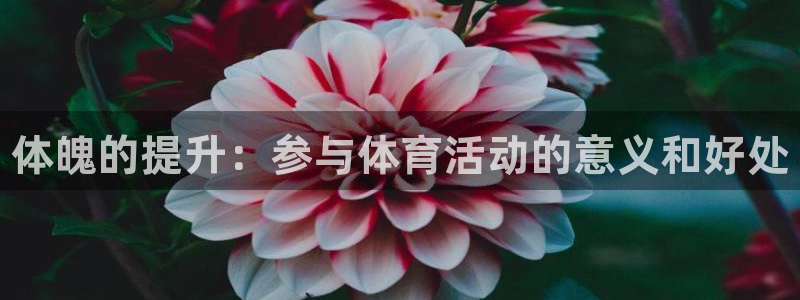 熊猫体育直播nba：体魄的提升：参与体育活动的意义和好处