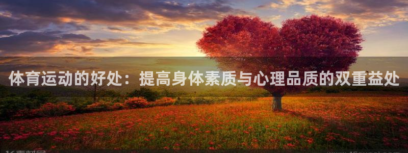 熊猫体育app官网入口：体育运动的好处：提高身体素质与心理品质的双重益处