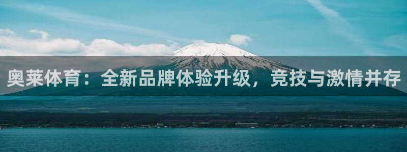 熊猫体育官方网站：奥莱体育：全新品牌体验升级，竞技与激情并存