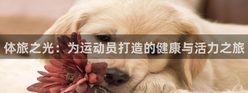 成都熊猫体育公园：体旅之光：为运动员打造的健康与活力之旅