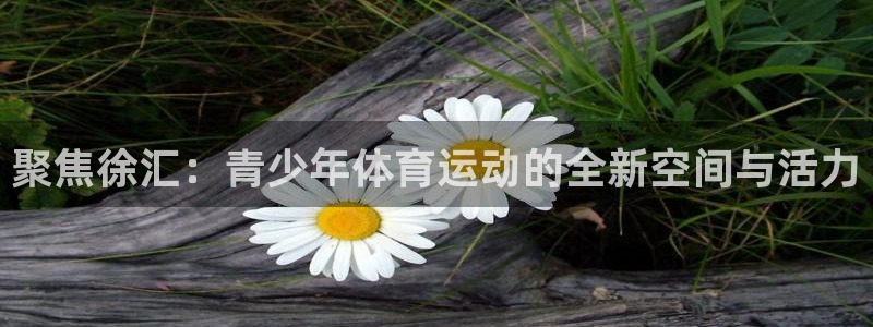 成都金熊猫体育：聚焦徐汇：青少年体育运动的全新空间与活力