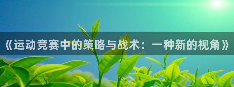 熊猫体育网站：《运动竞赛中的策略与战术：一种新的视角》