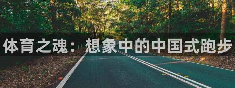 熊猫体育公园：体育之魂：想象中的中国式跑步