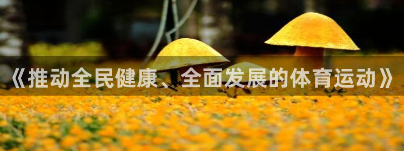 熊猫体育直播：《推动全民健康、全面发展的体育运动》