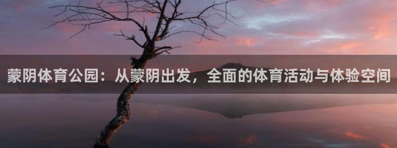 熊猫体育app官方入口：蒙阴体育公园：从蒙阴出发，全面的体育活动与体验空间