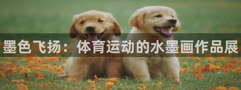 熊猫体育app官方下载最新版：墨色飞扬：体育运动的水墨画作品展