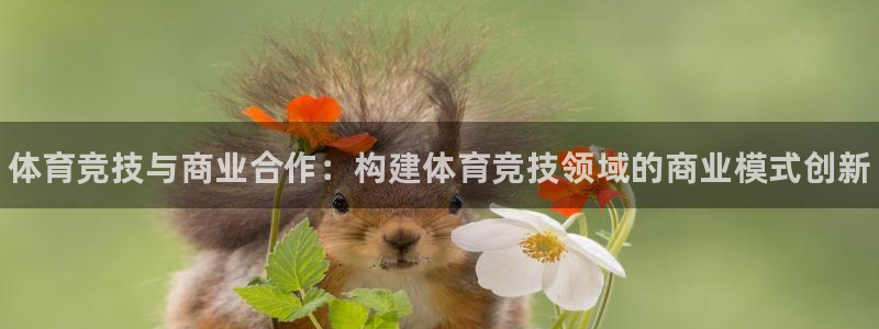 熊猫体育nba：体育竞技与商业合作：构建体育竞技领域的商业模式创新