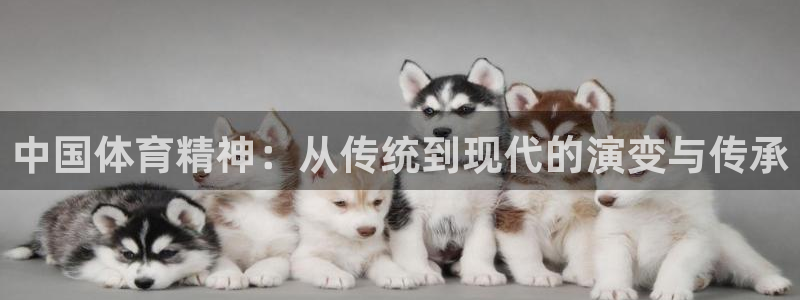 熊猫体育官方网站：中国体育精神：从传统到现代的演变与传承