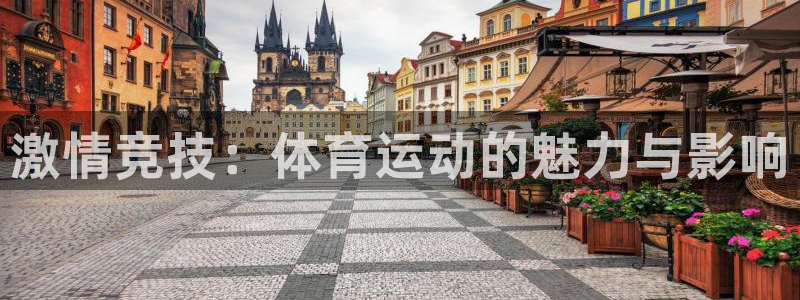 熊猫体育平台官网：激情竞技：体育运动的魅力与影响