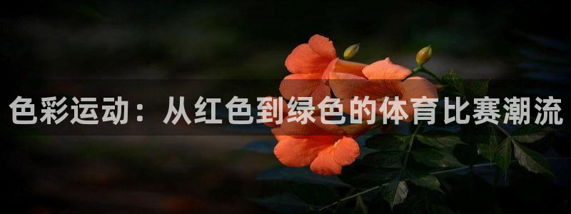 熊猫体育公园价格：色彩运动：从红色到绿色的体育比赛潮流