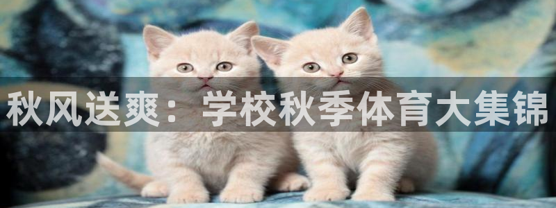 熊猫体育比赛直播：秋风送爽：学校秋季体育大集锦