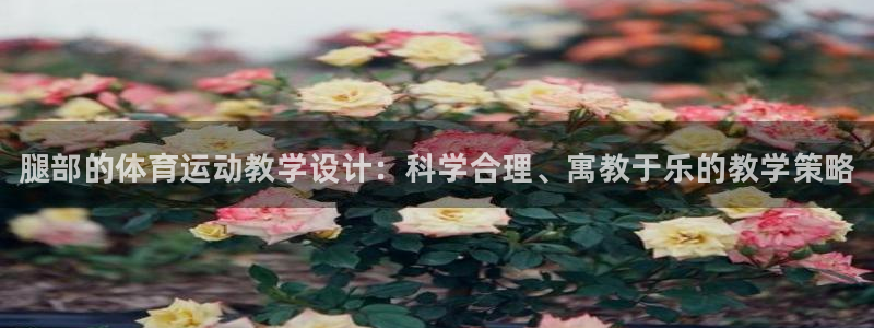 熊猫体育：腿部的体育运动教学设计：科学合理、寓教于乐的教学策略