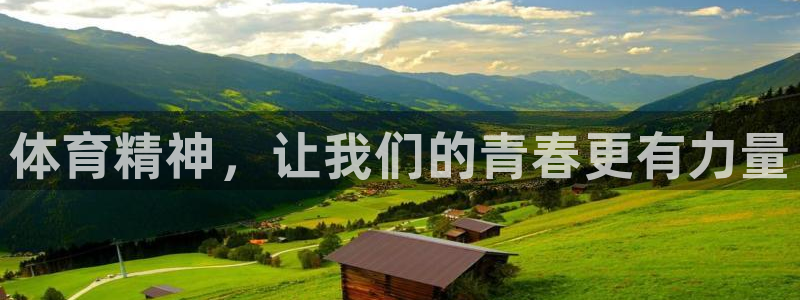 熊猫体育平台：体育精神，让我们的青春更有力量