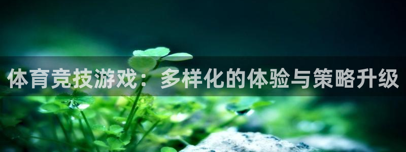 熊猫体育官网首页入口：体育竞技游戏：多样化的体验与策略升级