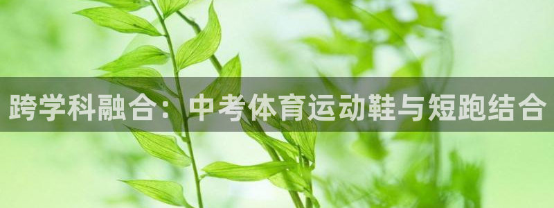 熊猫体育手机版