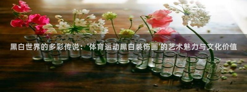 熊猫体育公园价格