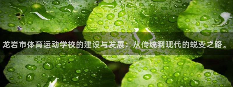 熊猫体育官方网站