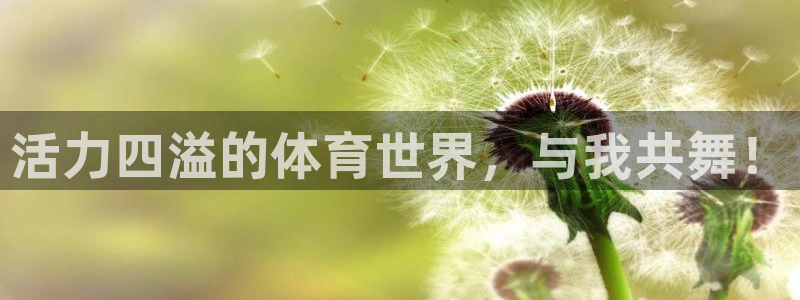 熊猫体育在线观看