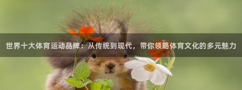 成都熊猫体育公园
