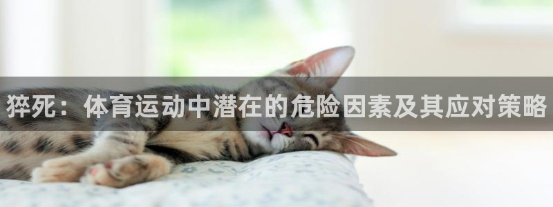熊猫体育v3.新网页.org