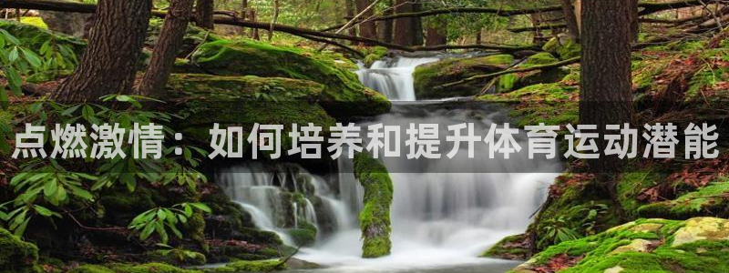 熊猫体育比赛直播