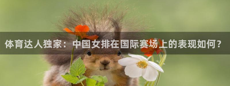 熊猫体育app官方下载最新版