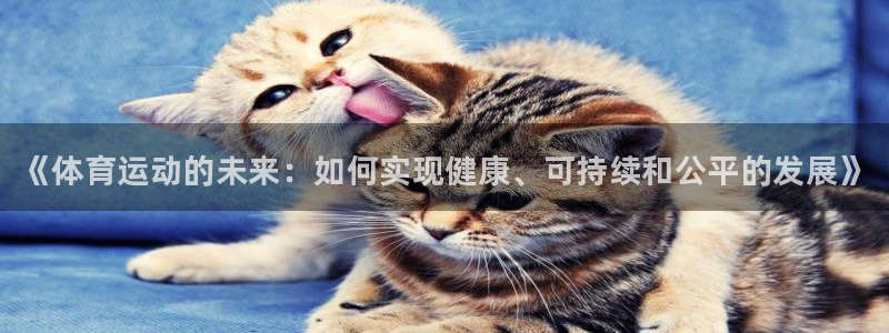 熊猫体育app官方下载最新版