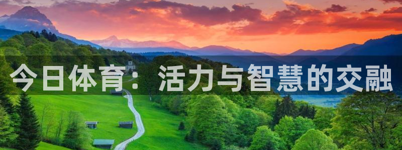 熊猫体育在线观看