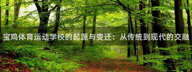 熊猫体育app官网入口