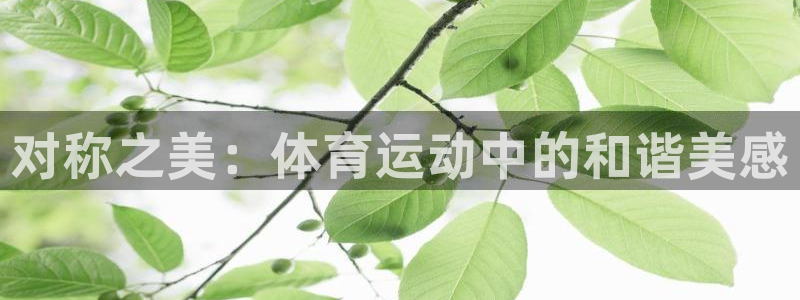熊猫体育免费下载