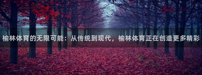 熊猫体育app官方下载最新版