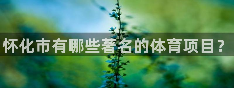 中山熊猫体育
