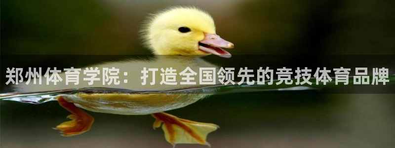 熊猫体育app下载安装：郑州体育学院：打造全国领先的竞技体育品牌